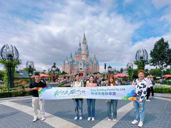 Exciting News: EASY BUILD DISNEY LAND ONE-DAY TOUR